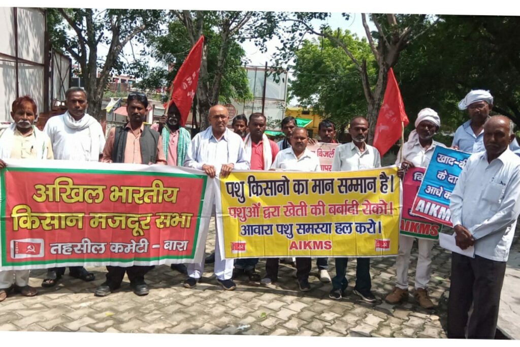 Kisan Mazdoor Sabha, Protest , अखिल भारतीय किसान मजदूर सभा